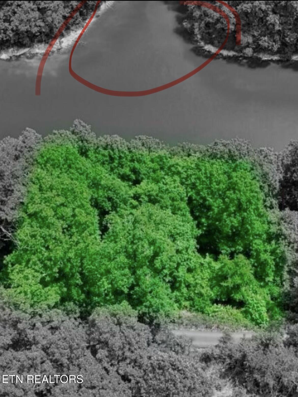 Norris Lake Real Estate - Image# 10