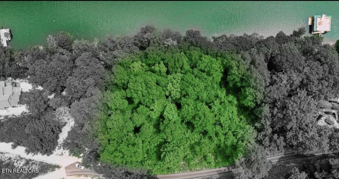 Norris Lake Real Estate - Image# 13