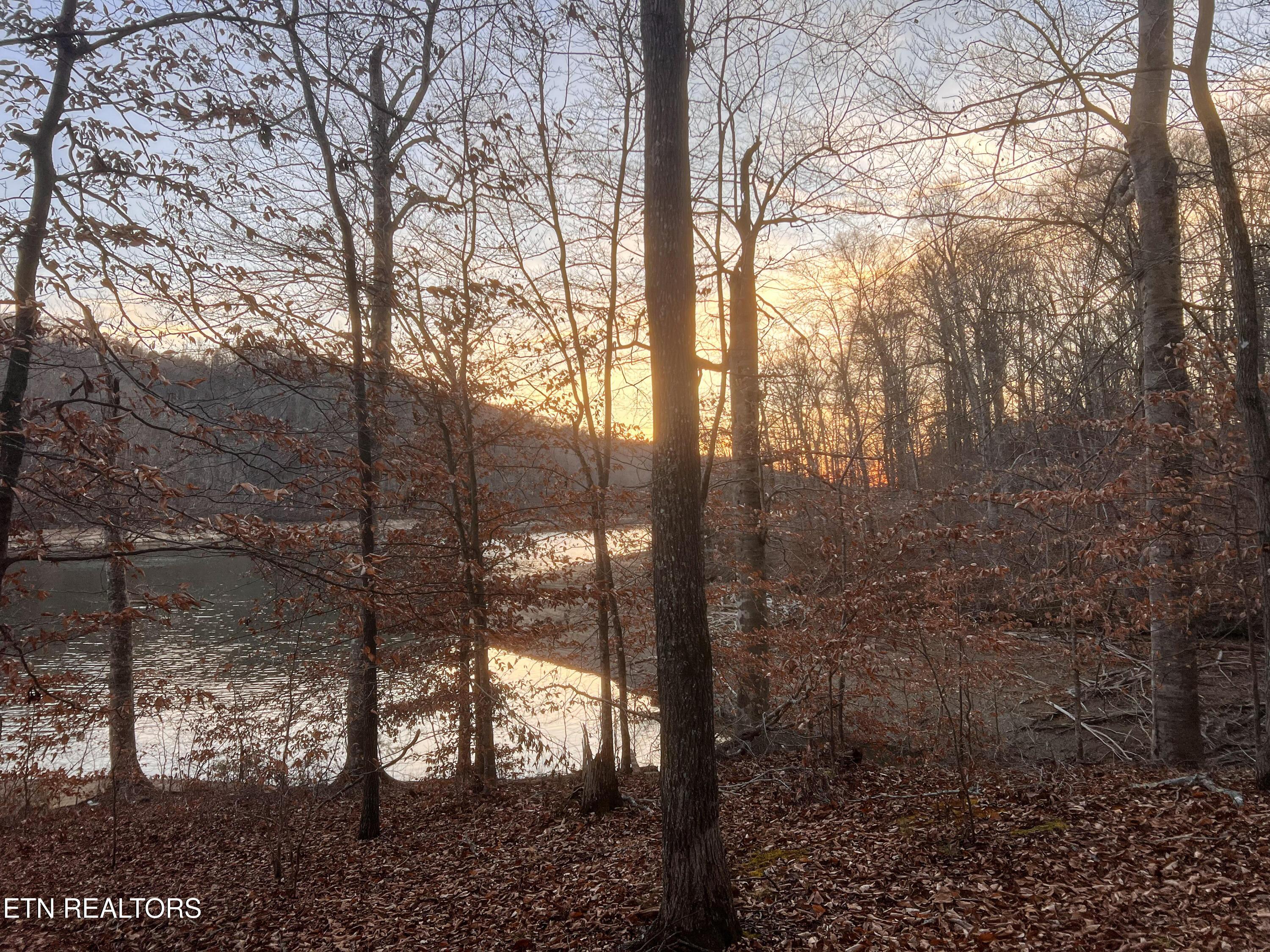 Shoreside Rd, New Tazewell, TN - Norris Lake Real Estate - Image# 2