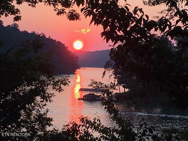 Norris Lake Real Estate - Image# 8