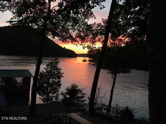 Norris Lake Real Estate - Image# 9