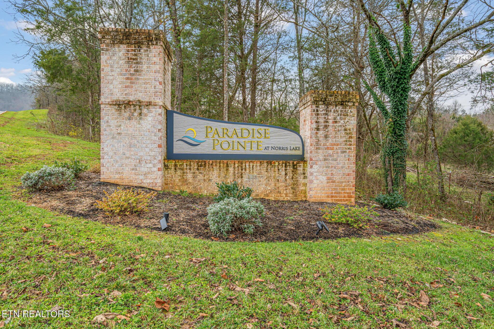 Norris Lake Real Estate - Image# 8