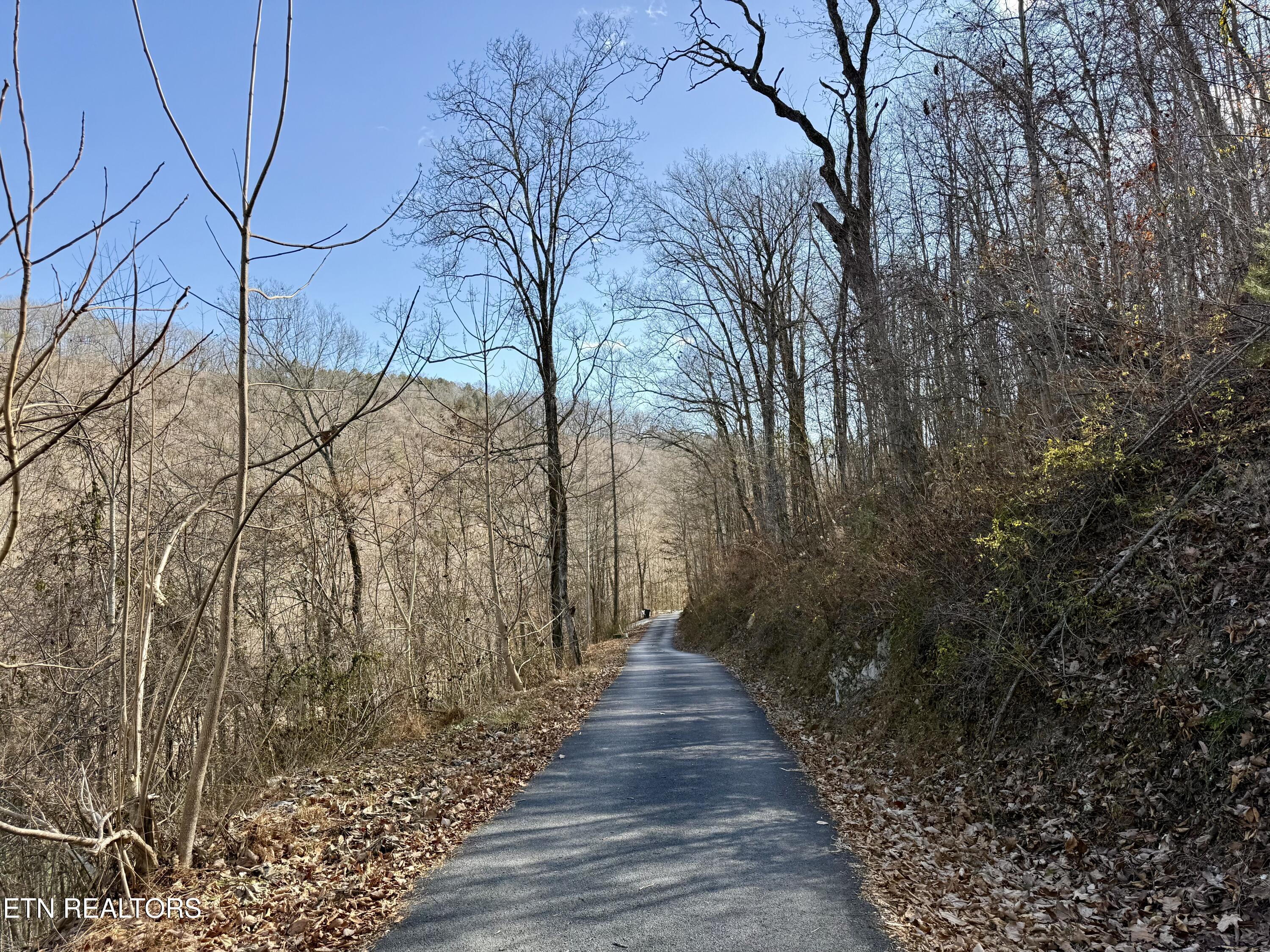 Norris Lake Real Estate - Image# 15