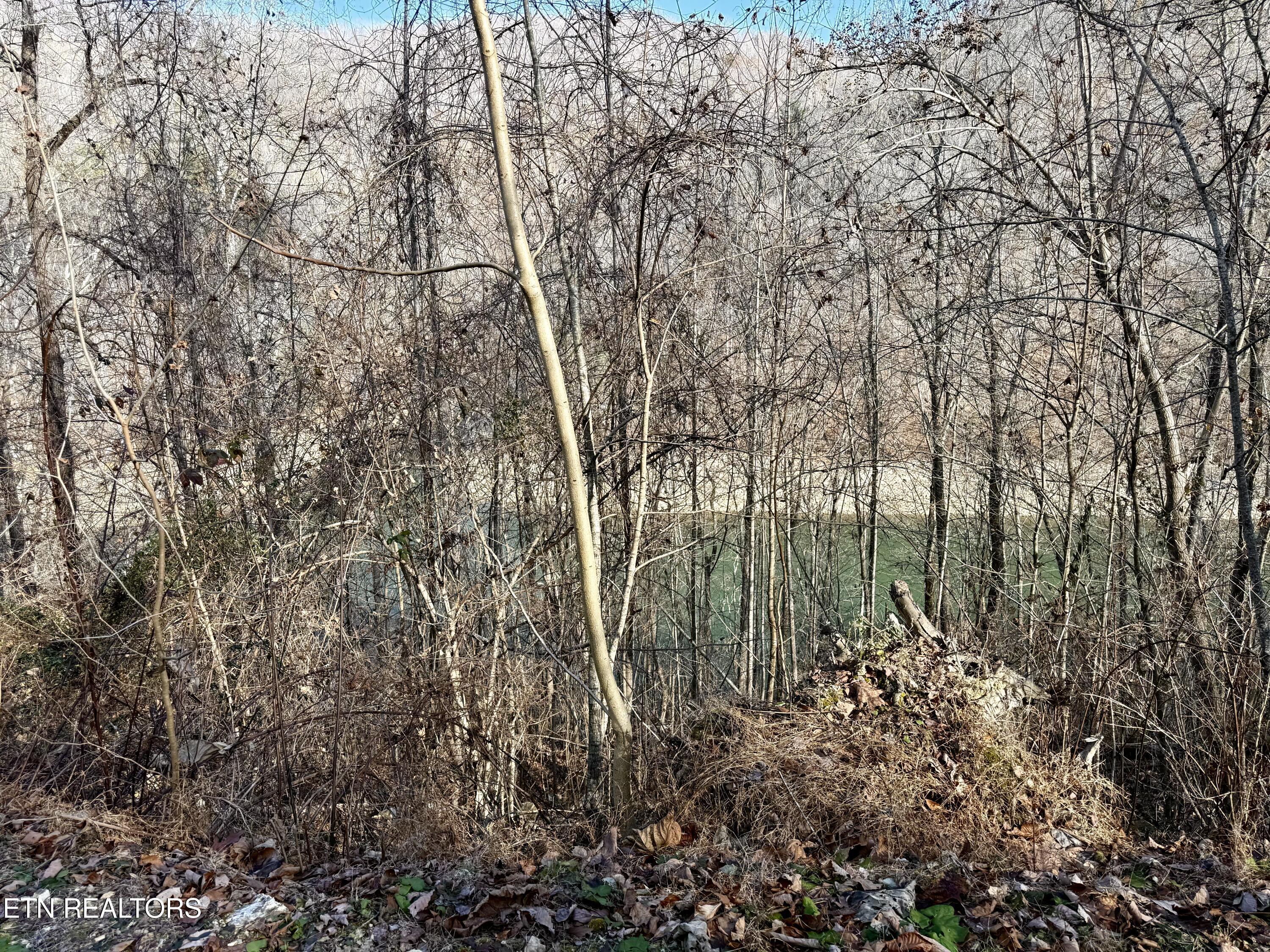 Norris Lake Real Estate - Image# 18