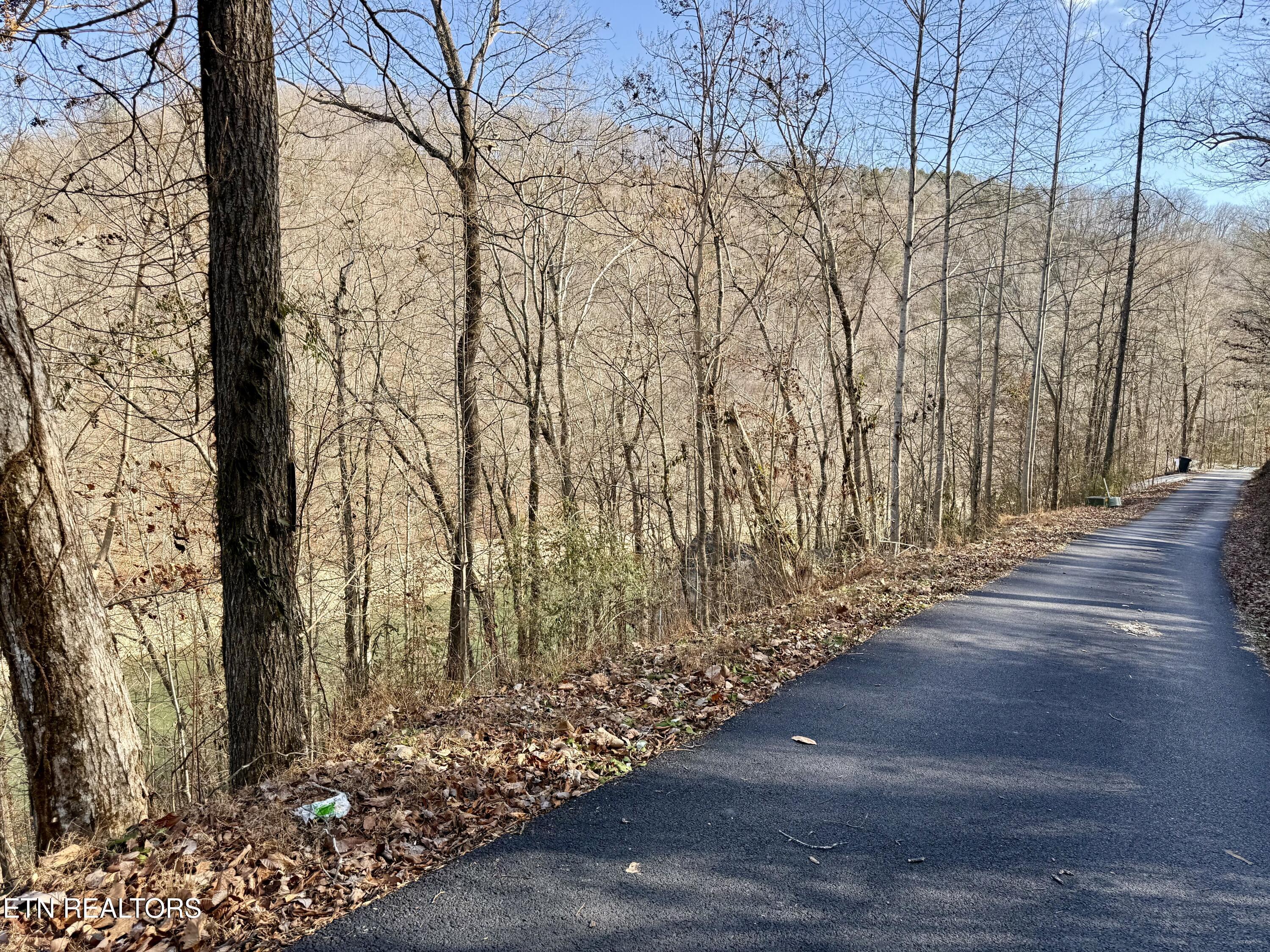 Norris Lake Real Estate - Image# 19