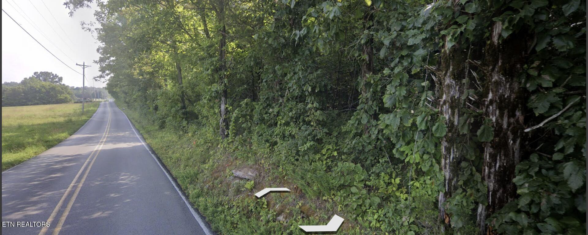 Norris Lake Real Estate - Image# 2