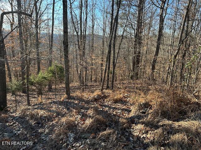 Whistle Valley Rd, New Tazewell, TN - Norris Lake Real Estate - Image# 10