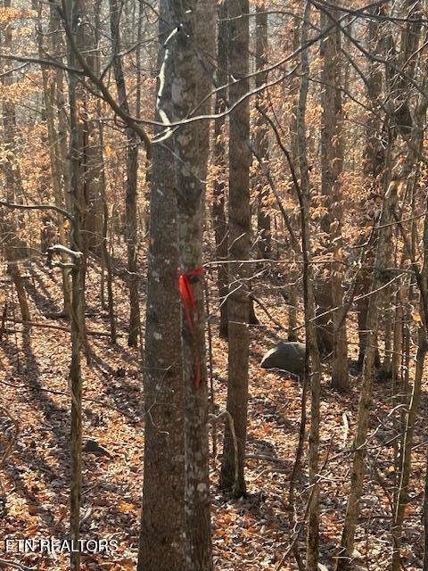 Whistle Valley Rd, New Tazewell, TN - Norris Lake Real Estate - Image# 3