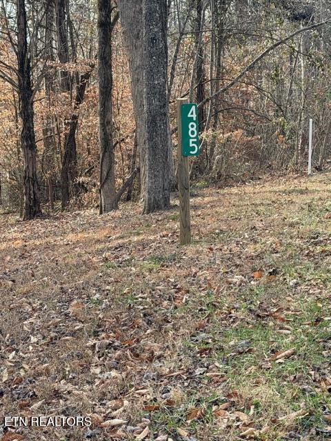 Norris Lake Real Estate - Image# 4