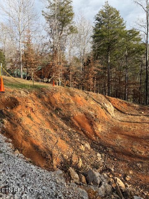 Norris Lake Real Estate - Image# 6