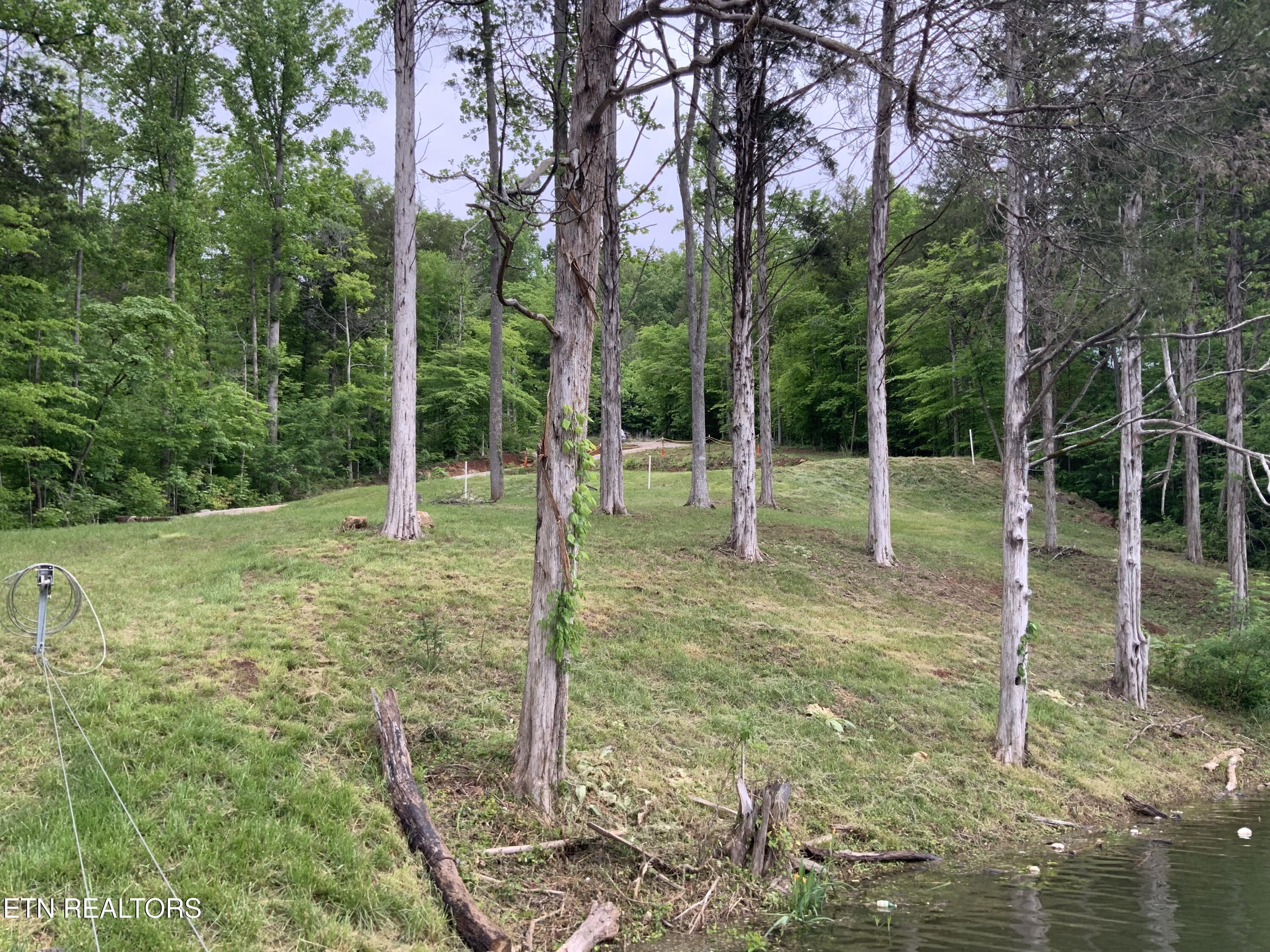 Norris Lake Real Estate - Image# 17