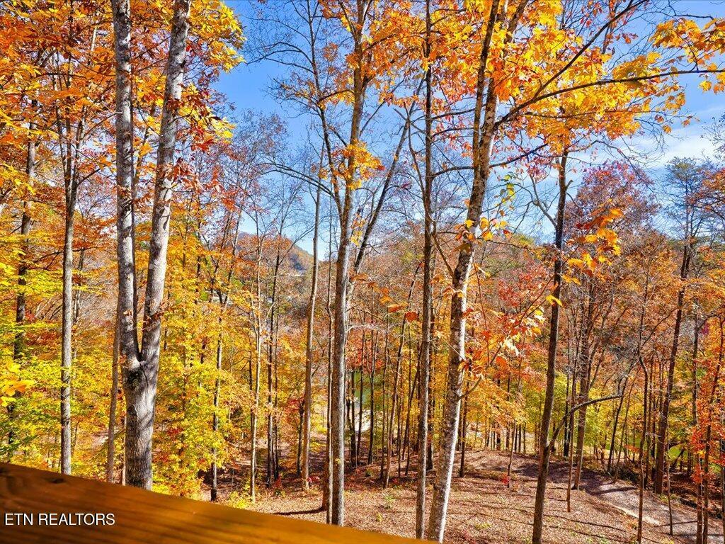 164 Paradise Point, New Tazewell, TN - Norris Lake Real Estate - Image# 17