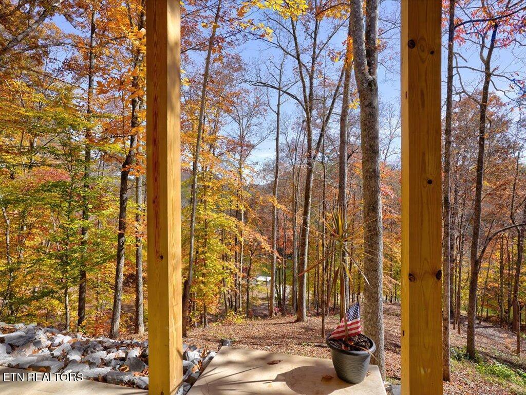 164 Paradise Point, New Tazewell, TN - Norris Lake Real Estate - Image# 18