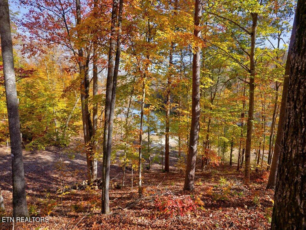 164 Paradise Point, New Tazewell, TN - Norris Lake Real Estate - Image# 41