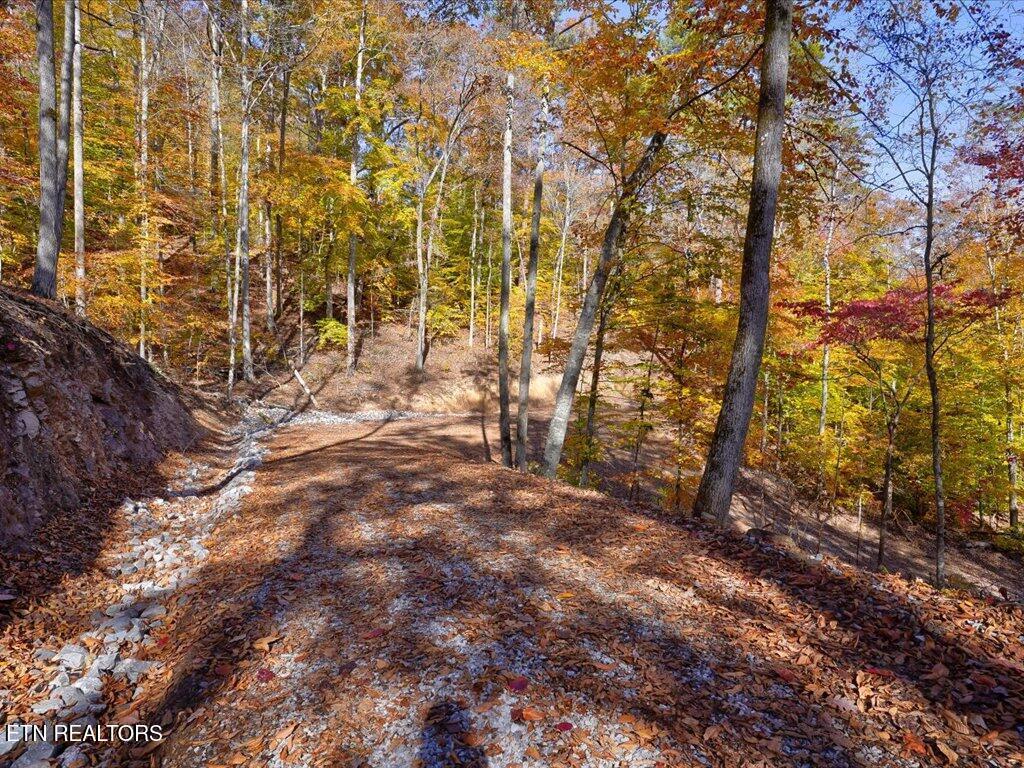 164 Paradise Point, New Tazewell, TN - Norris Lake Real Estate - Image# 49