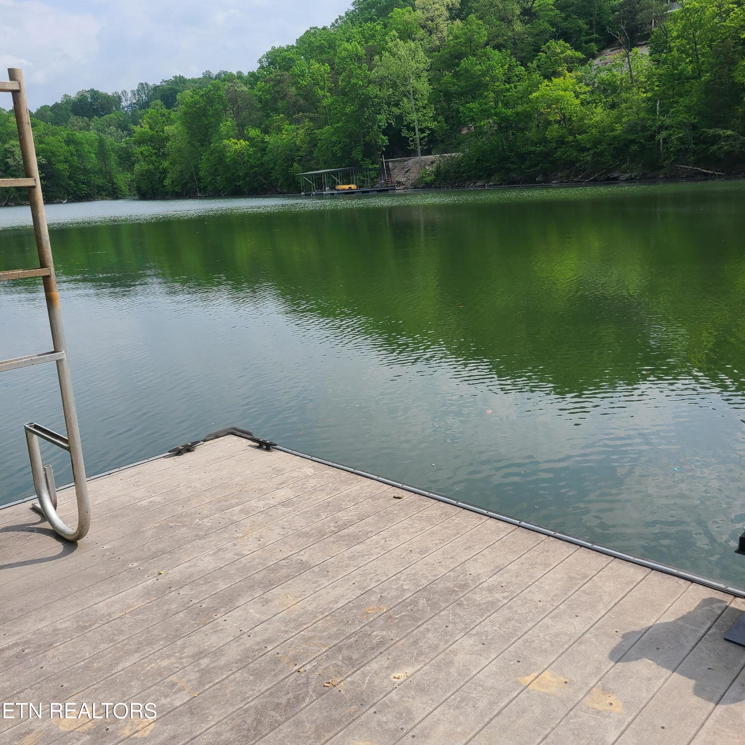 Norris Lake Real Estate - Image# 40