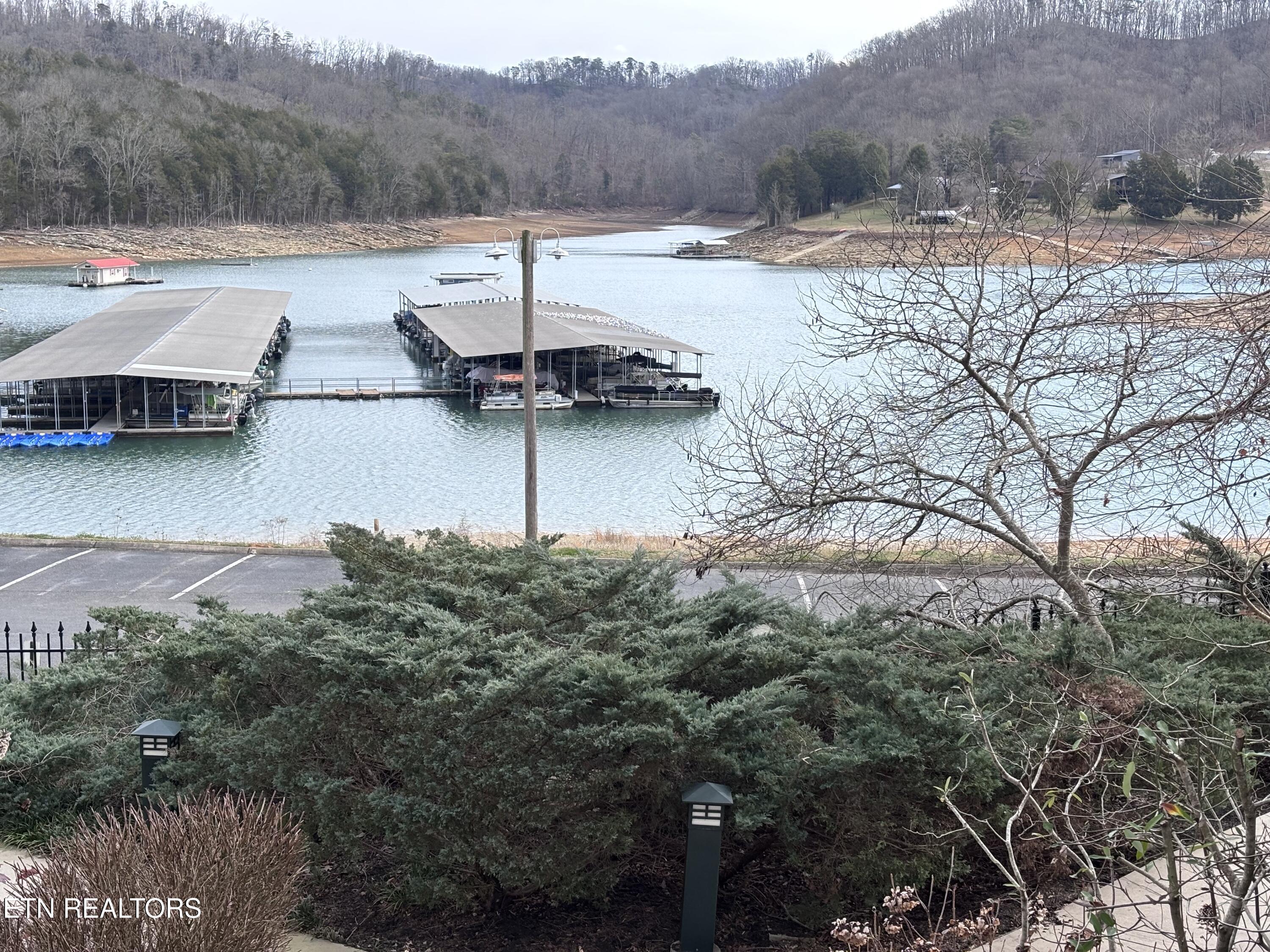 Norris Lake Real Estate - Image# 2