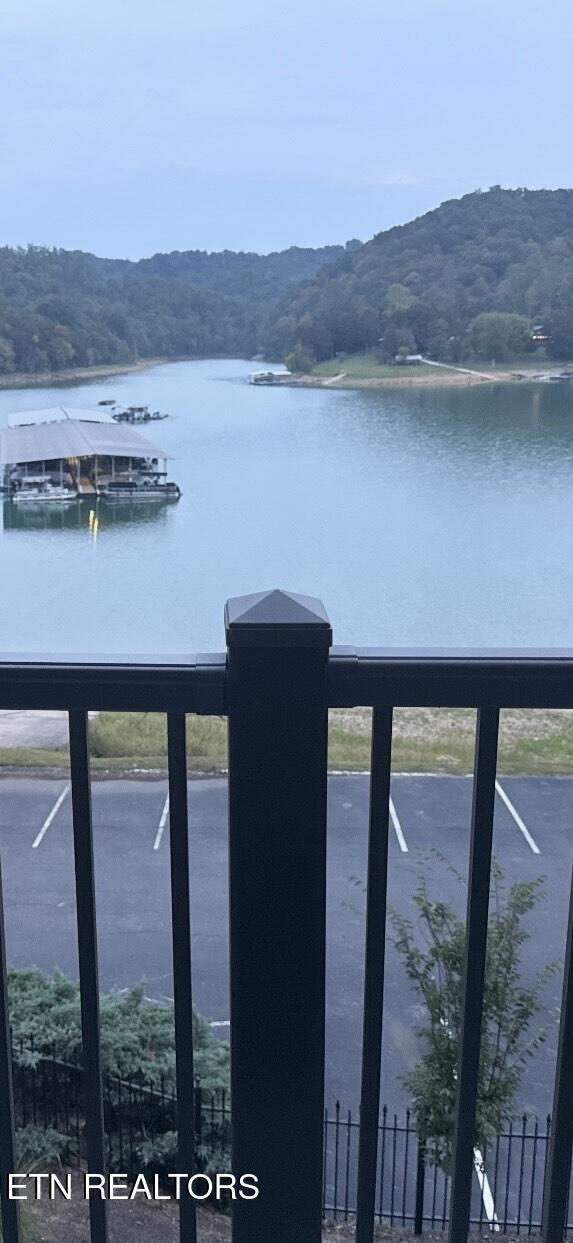 Norris Lake Real Estate - Image# 4