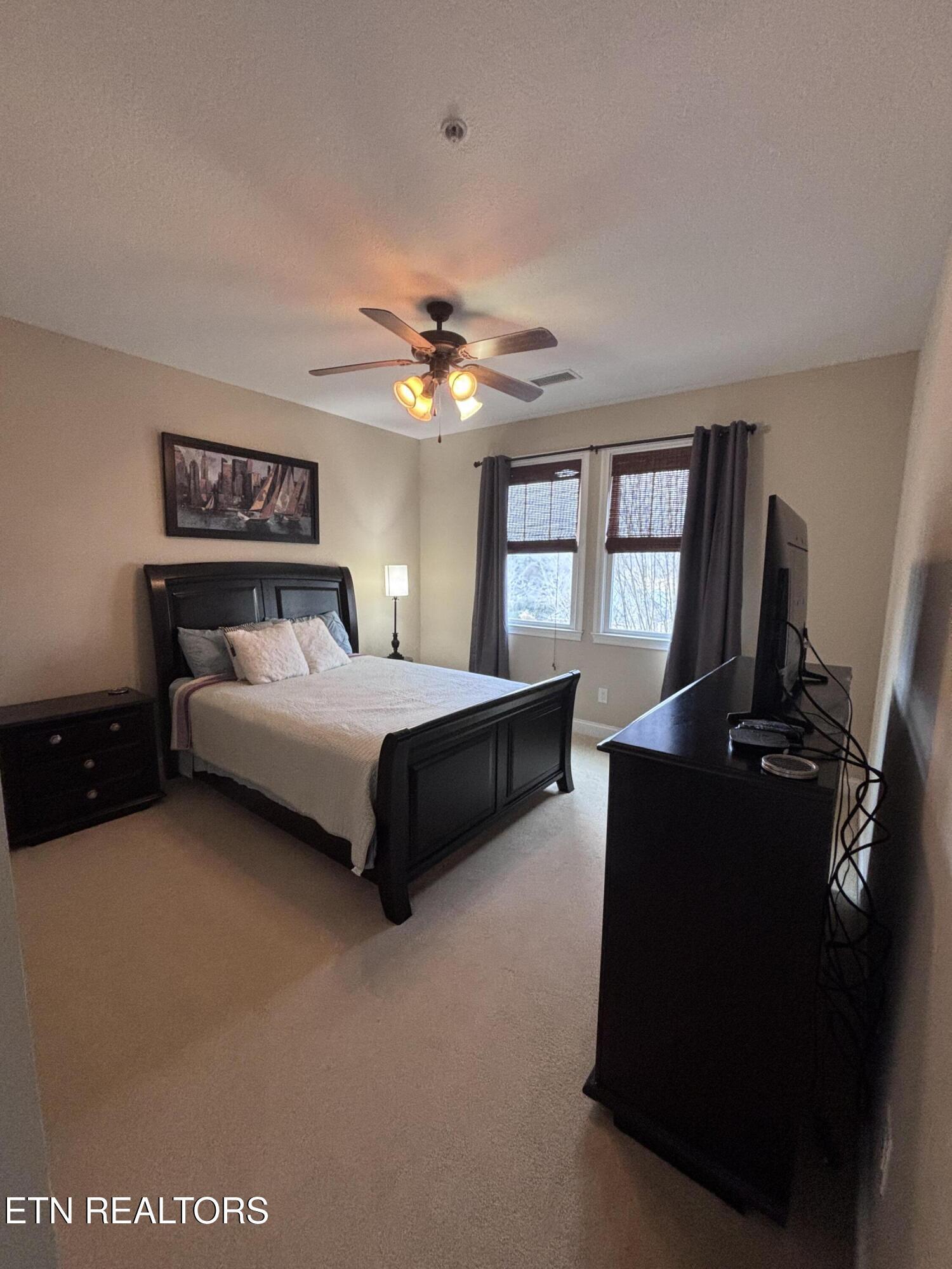 Norris Lake Real Estate - Image# 13