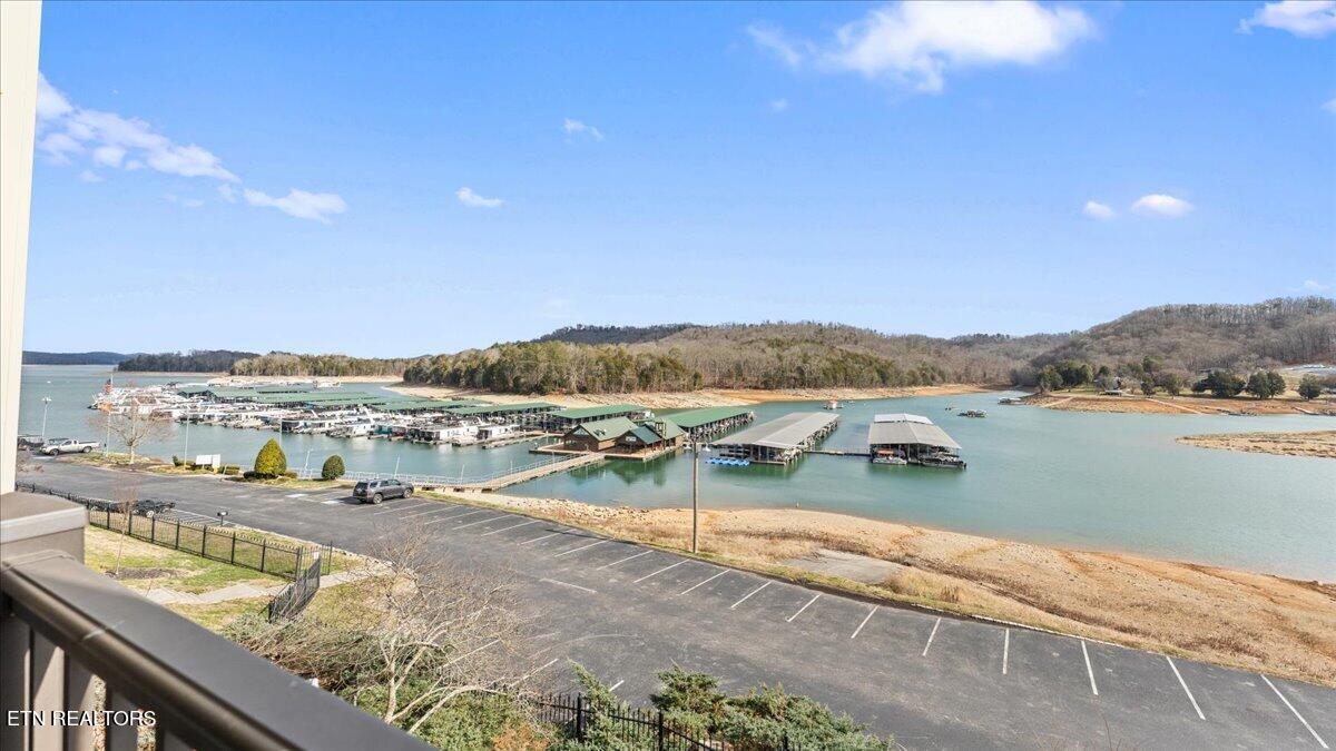 Norris Lake Real Estate - Image# 11