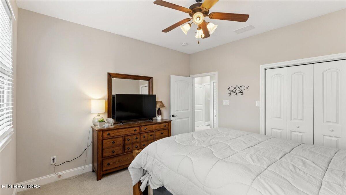 Norris Lake Real Estate - Image# 43