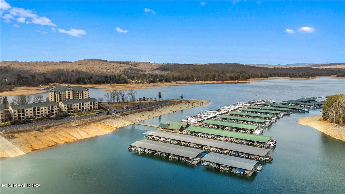 Norris Lake Real Estate - Image# 55