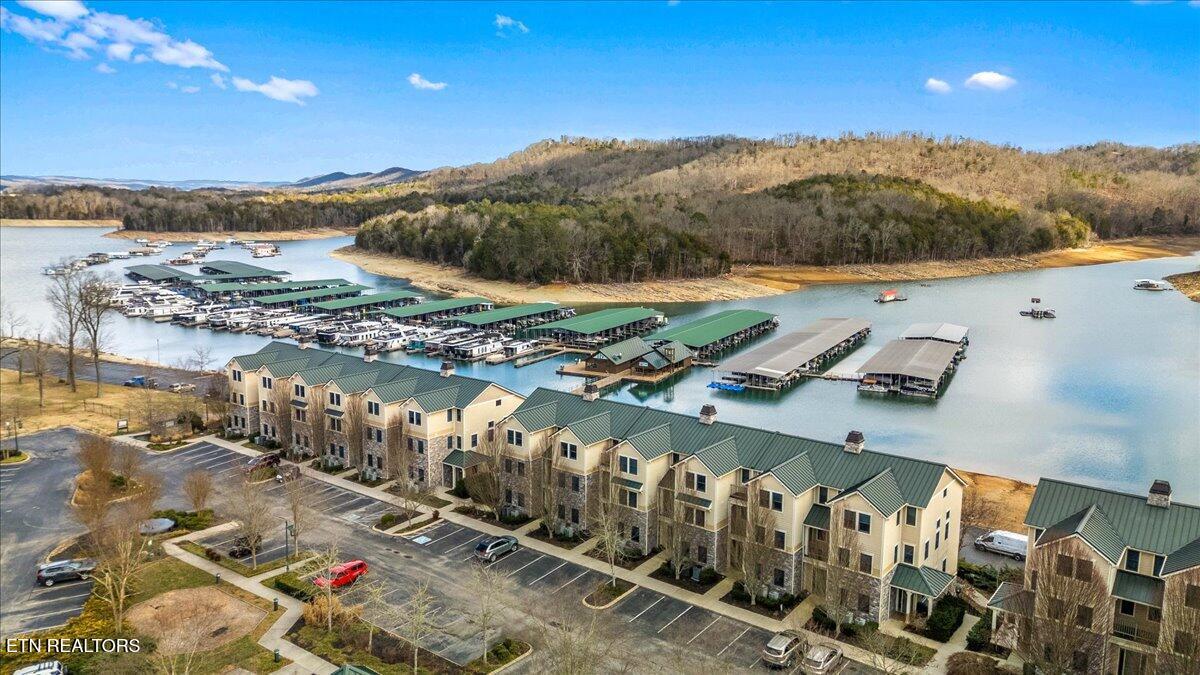 Norris Lake Real Estate - Image# 56