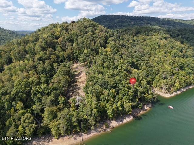 Norris Lake Real Estate - Image# 2