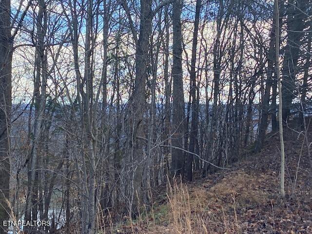 Norris Lake Real Estate - Image# 4