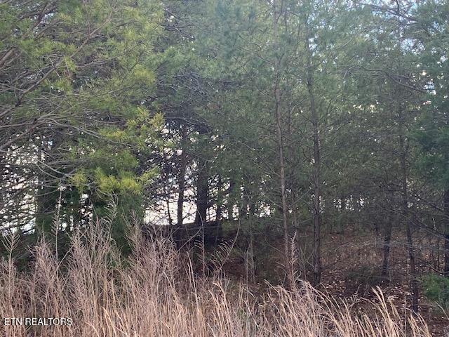 Norris Lake Real Estate - Image# 5