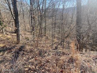 Lot 875 Clear Water Rd, New Tazewell, TN - Norris Lake Real Estate - Image# 4