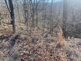 Lot 875 Clear Water Rd, New Tazewell, TN - Norris Lake Real Estate - Image# 6