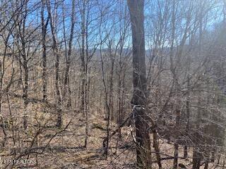Lot 875 Clear Water Rd, New Tazewell, TN - Norris Lake Real Estate - Image# 8