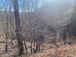 Lot 875 Clear Water Rd, New Tazewell, TN - Norris Lake Real Estate - Image# 10