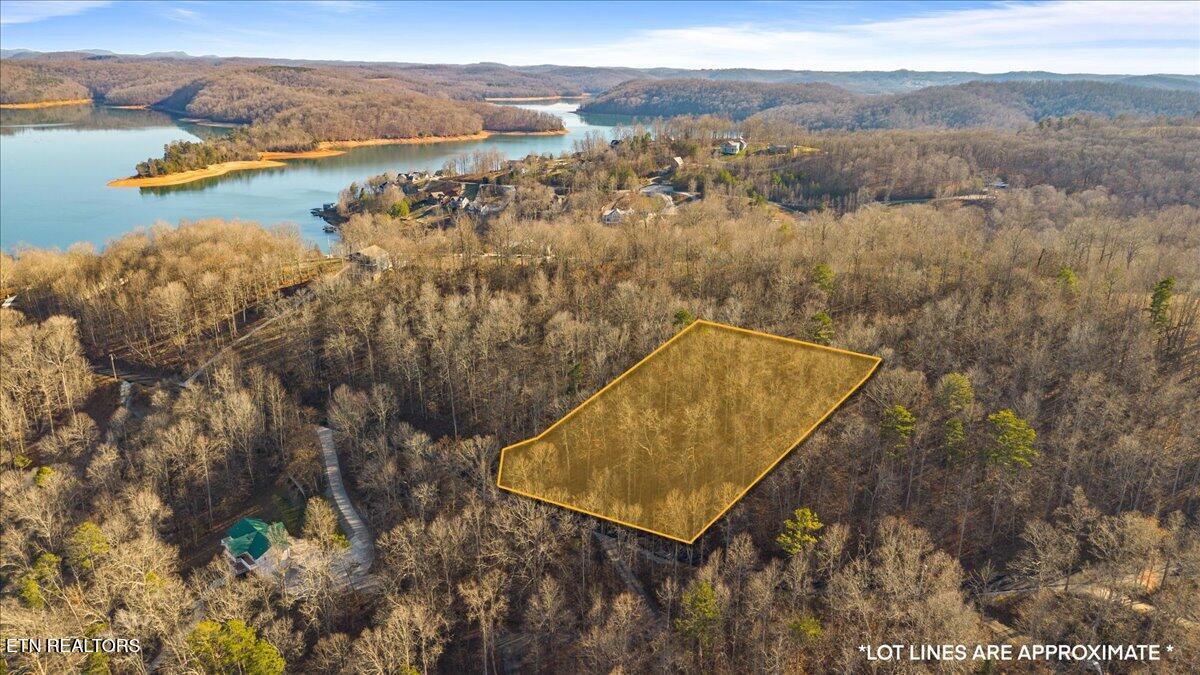 Shanghai Landing Lane, Lafollette, TN - Norris Lake Real Estate - Image# 1