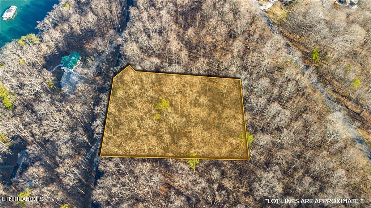 Shanghai Landing Lane, Lafollette, TN - Norris Lake Real Estate - Image# 2