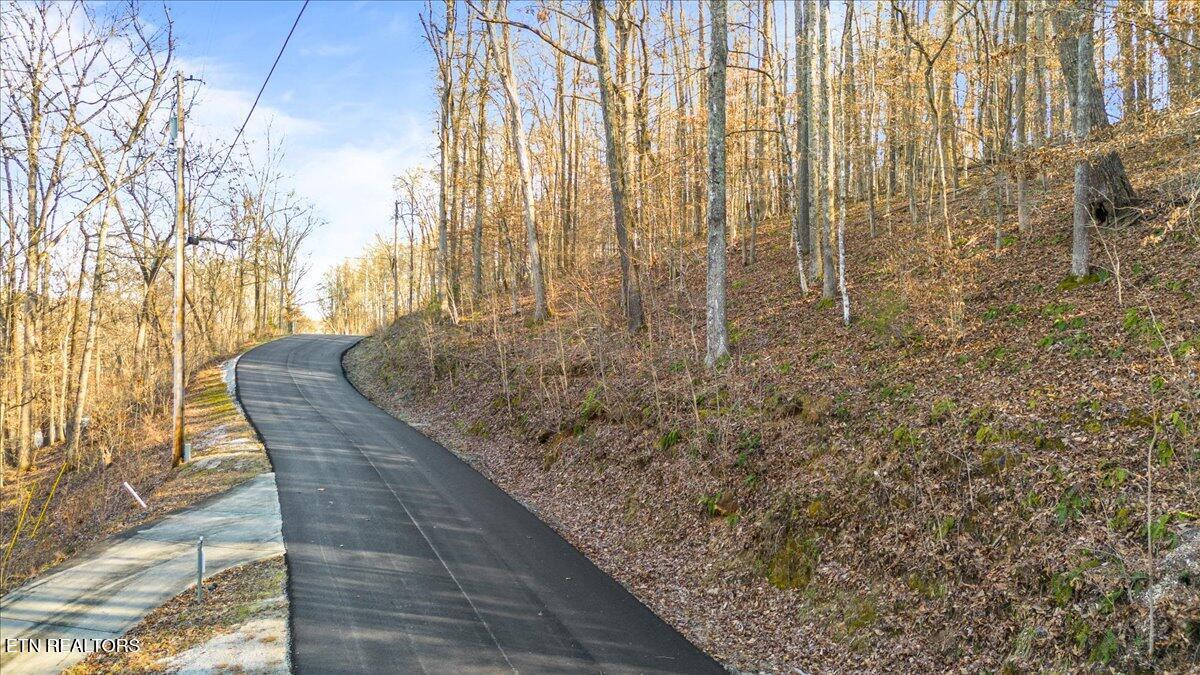 Shanghai Landing Lane, Lafollette, TN - Norris Lake Real Estate - Image# 4