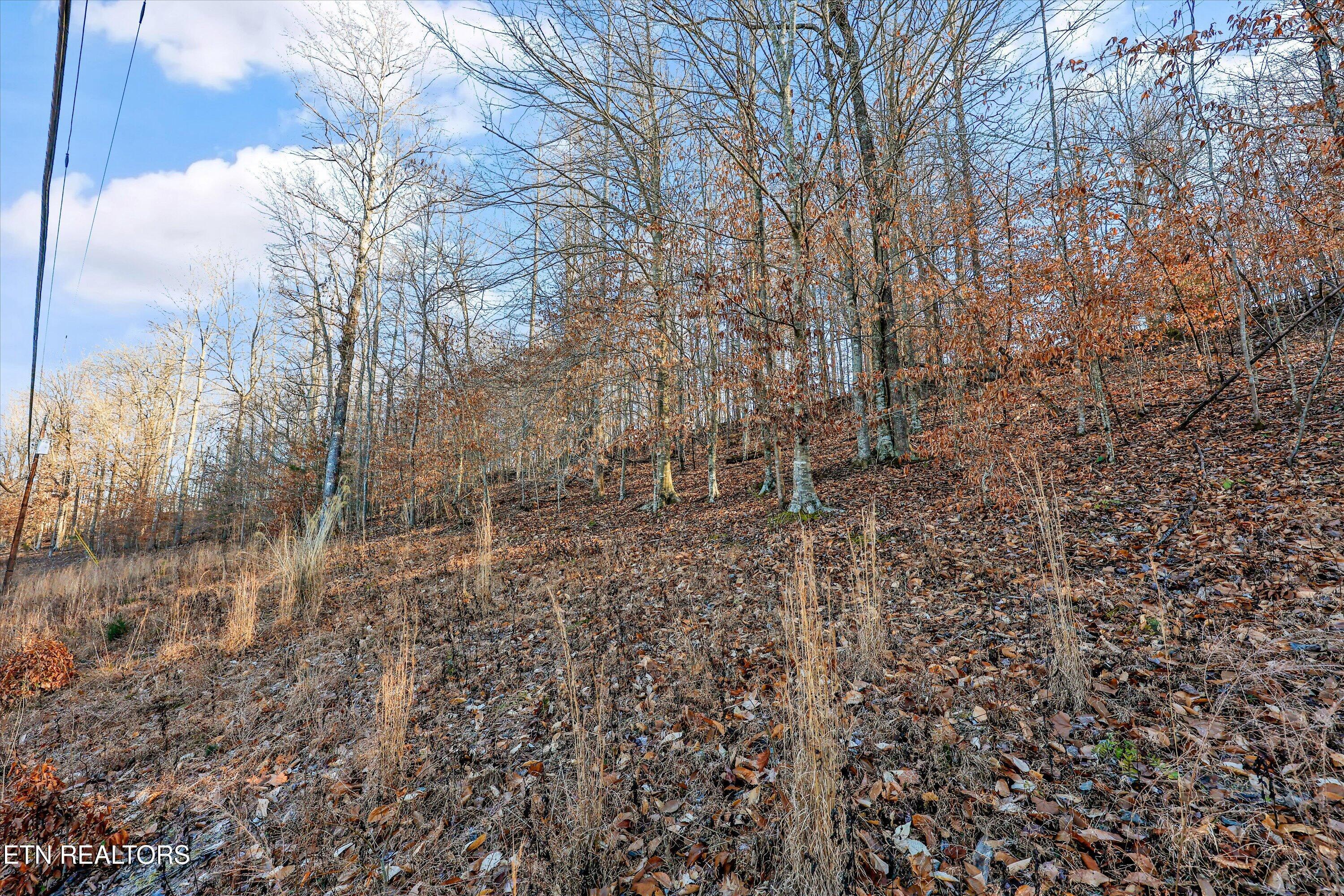 Norris Lake Real Estate - Image# 47