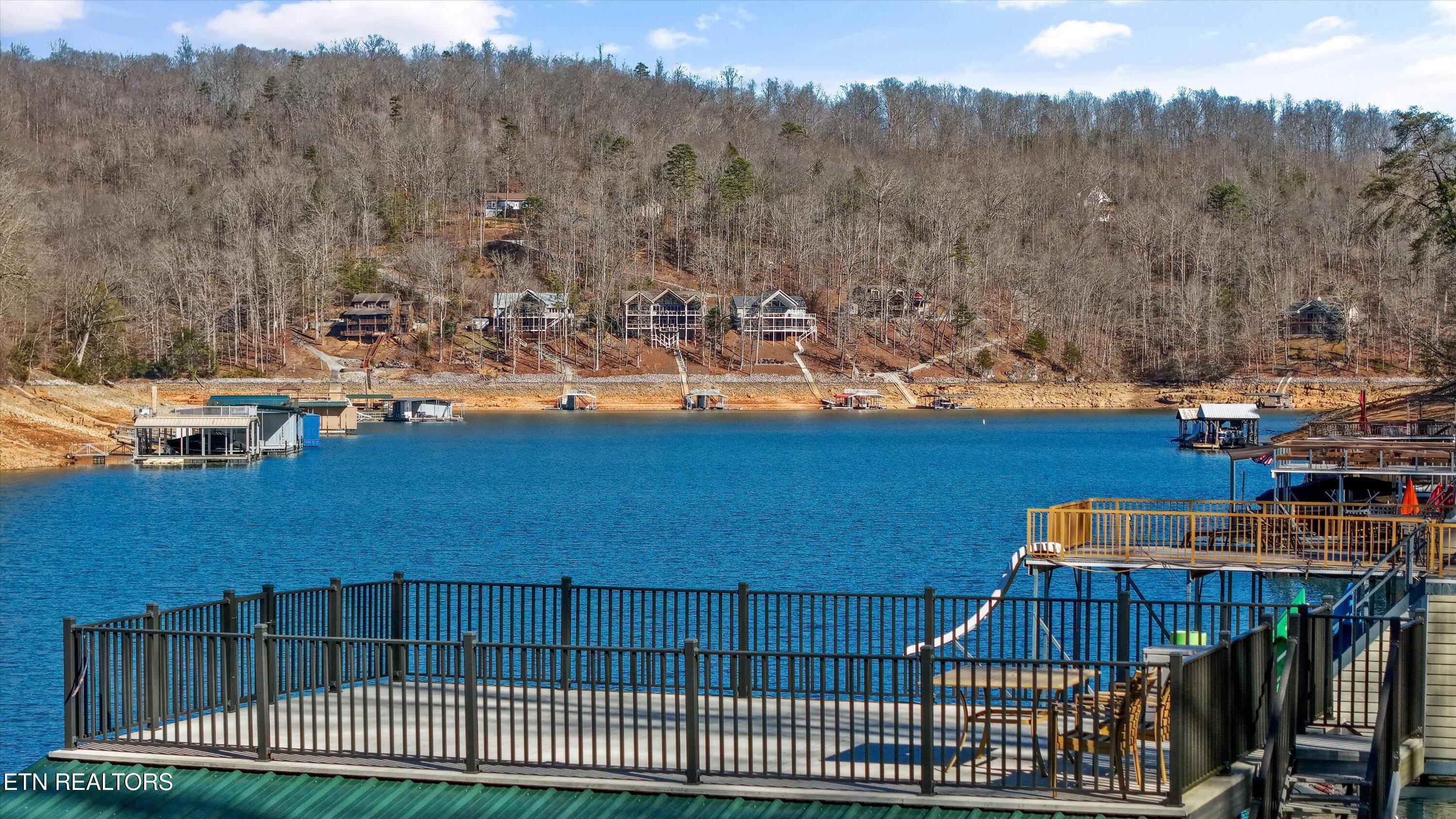 Norris Lake Real Estate - Image# 50
