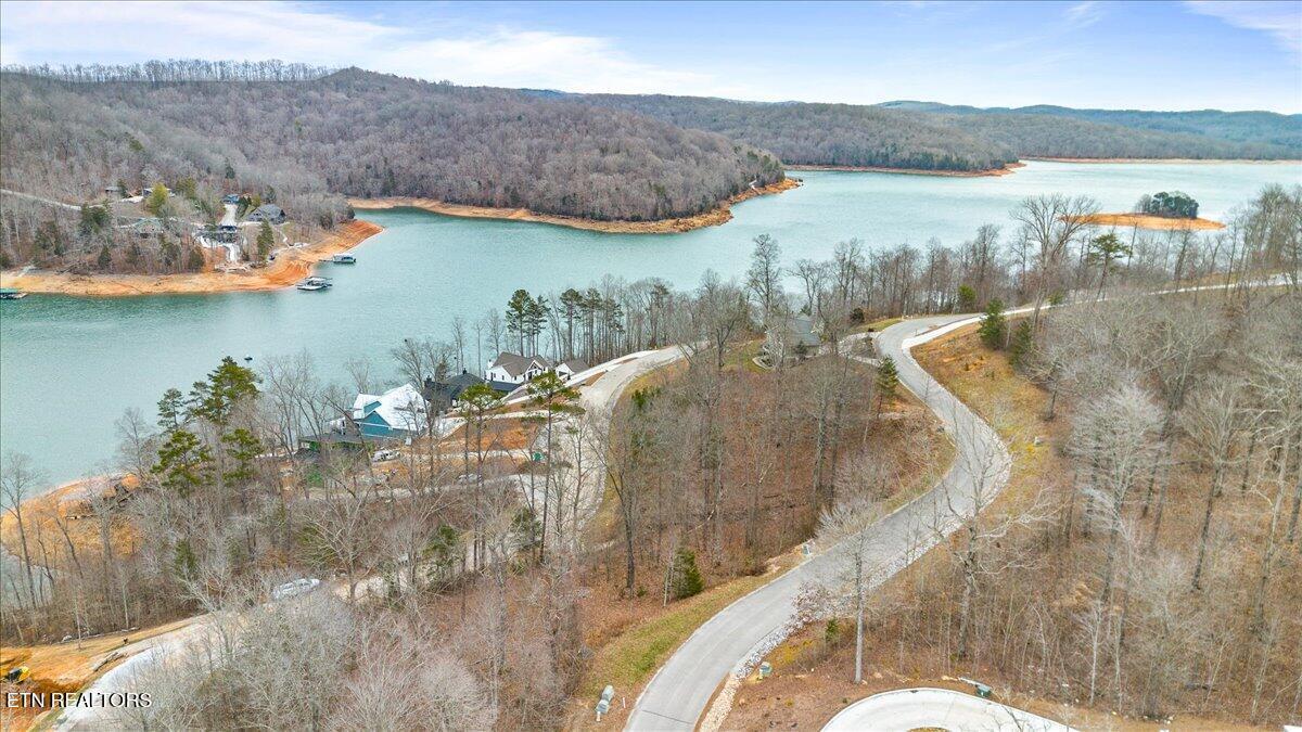 Norris Lake Real Estate - Image# 6