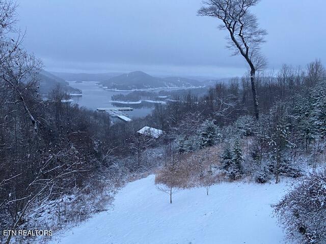 Norris Lake Real Estate - Image# 8