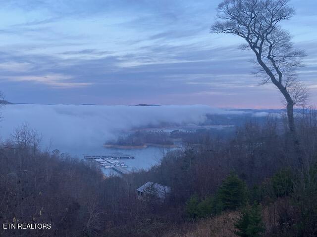 Norris Lake Real Estate - Image# 10