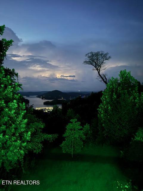 Norris Lake Real Estate - Image# 6