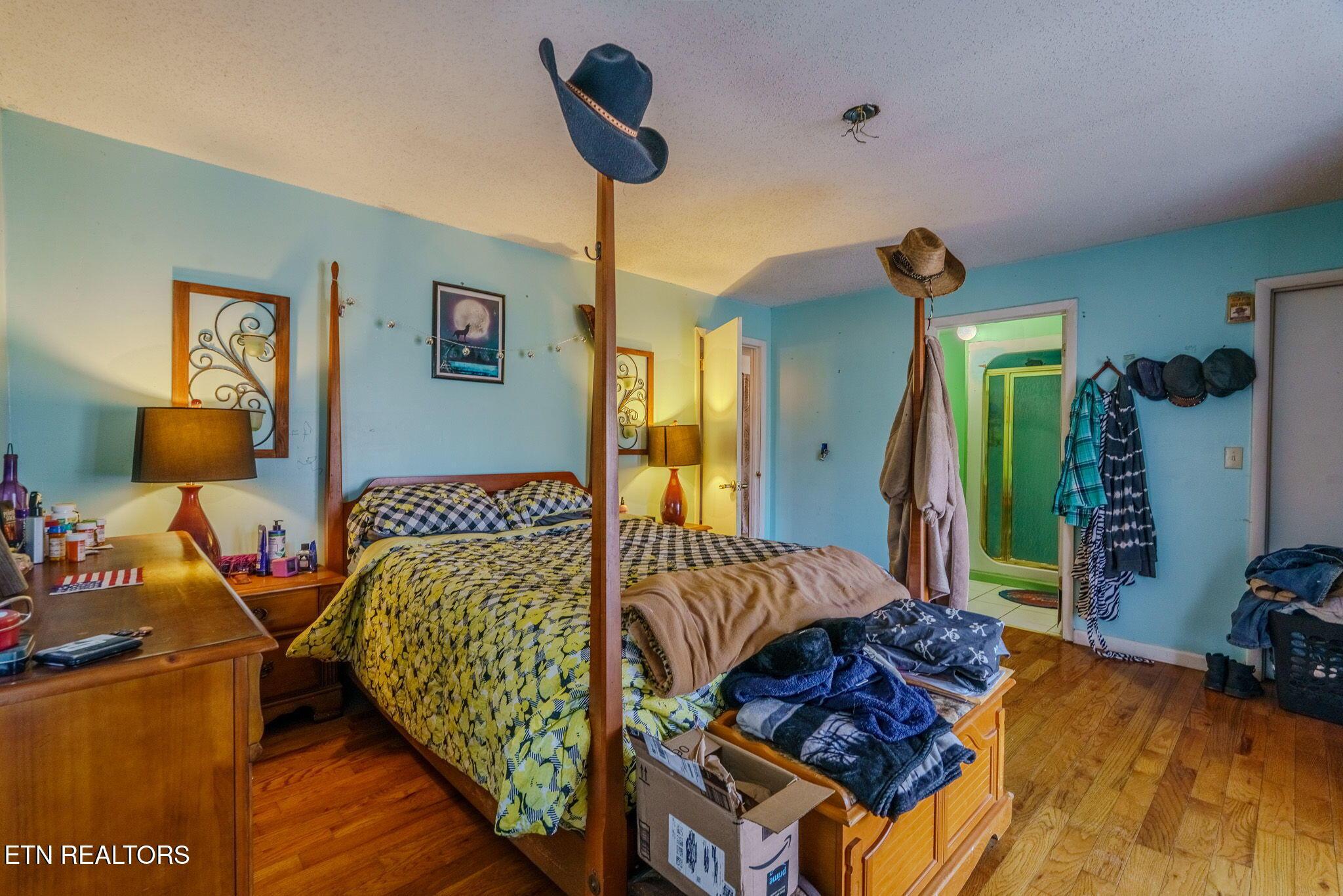 210 Last Lz Lane, Speedwell, TN - Norris Lake Real Estate - Image# 12