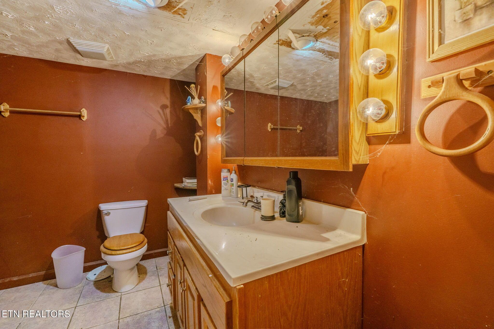 210 Last Lz Lane, Speedwell, TN - Norris Lake Real Estate - Image# 18