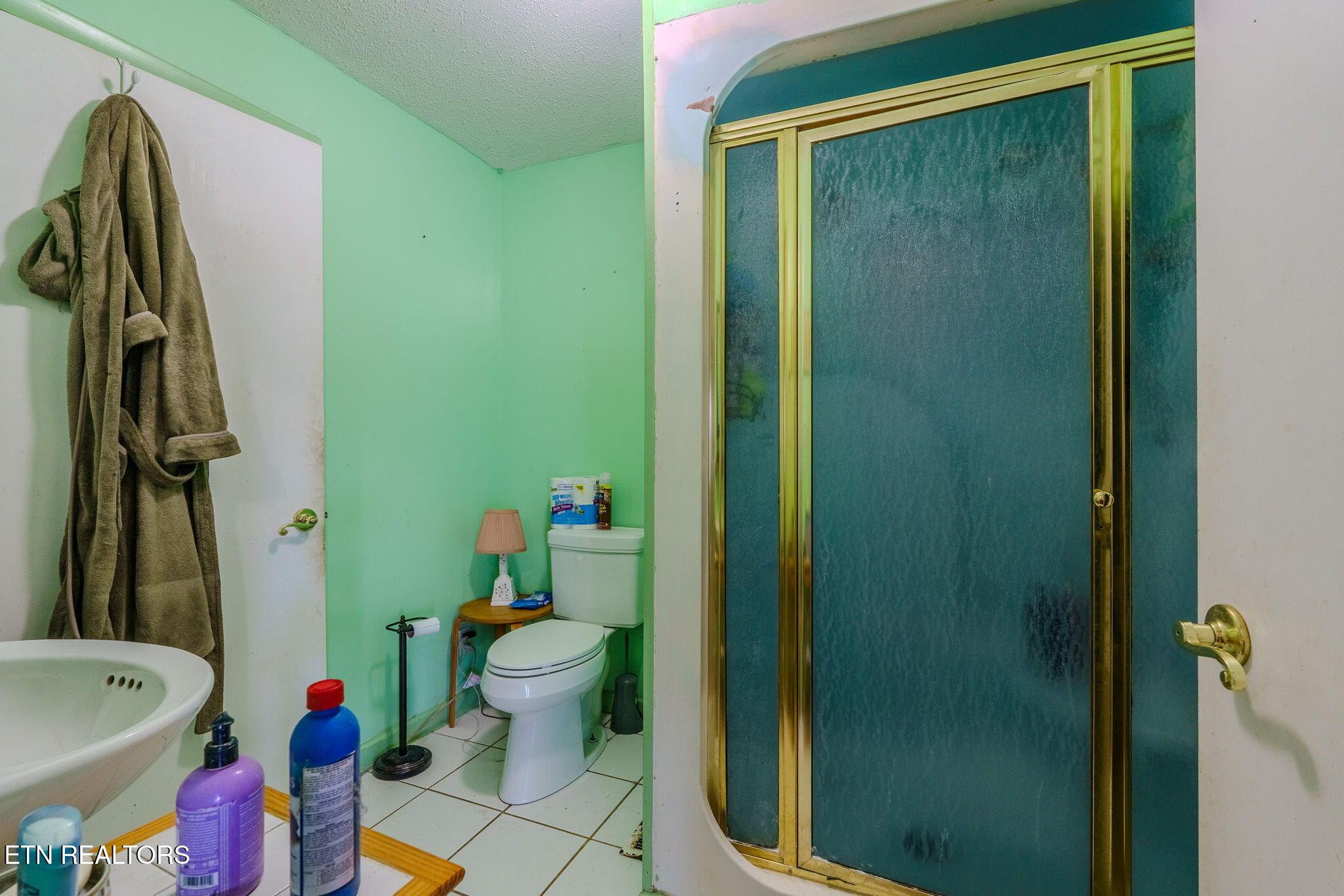 210 Last Lz Lane, Speedwell, TN - Norris Lake Real Estate - Image# 16