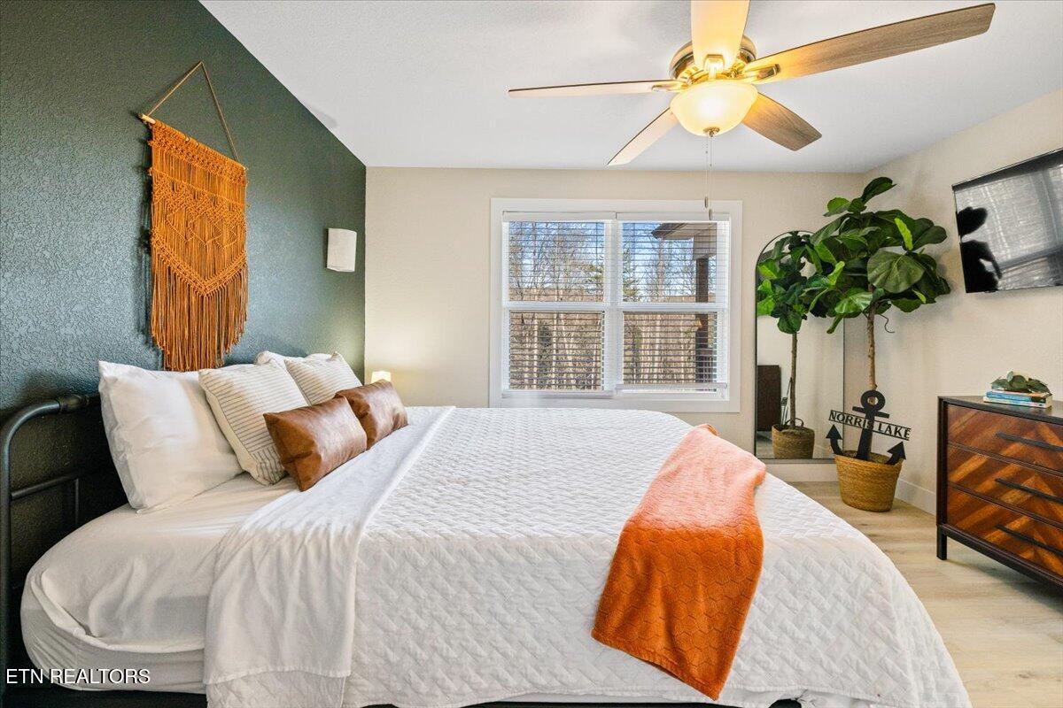 Norris Lake Real Estate - Image# 16