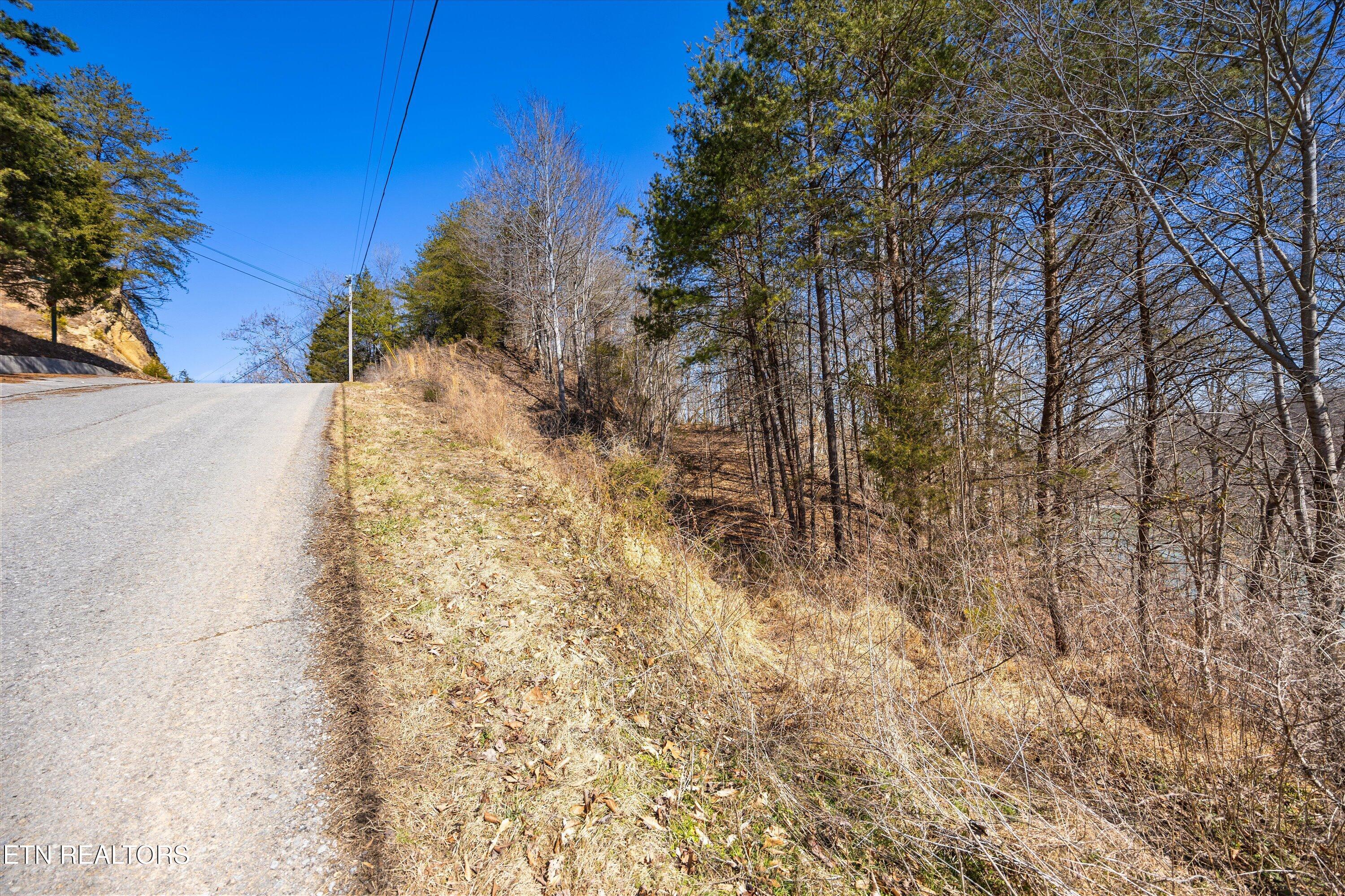 Lot 34 Mountain Shores Drive, New Tazewell, TN - Norris Lake Real Estate - Image# 20