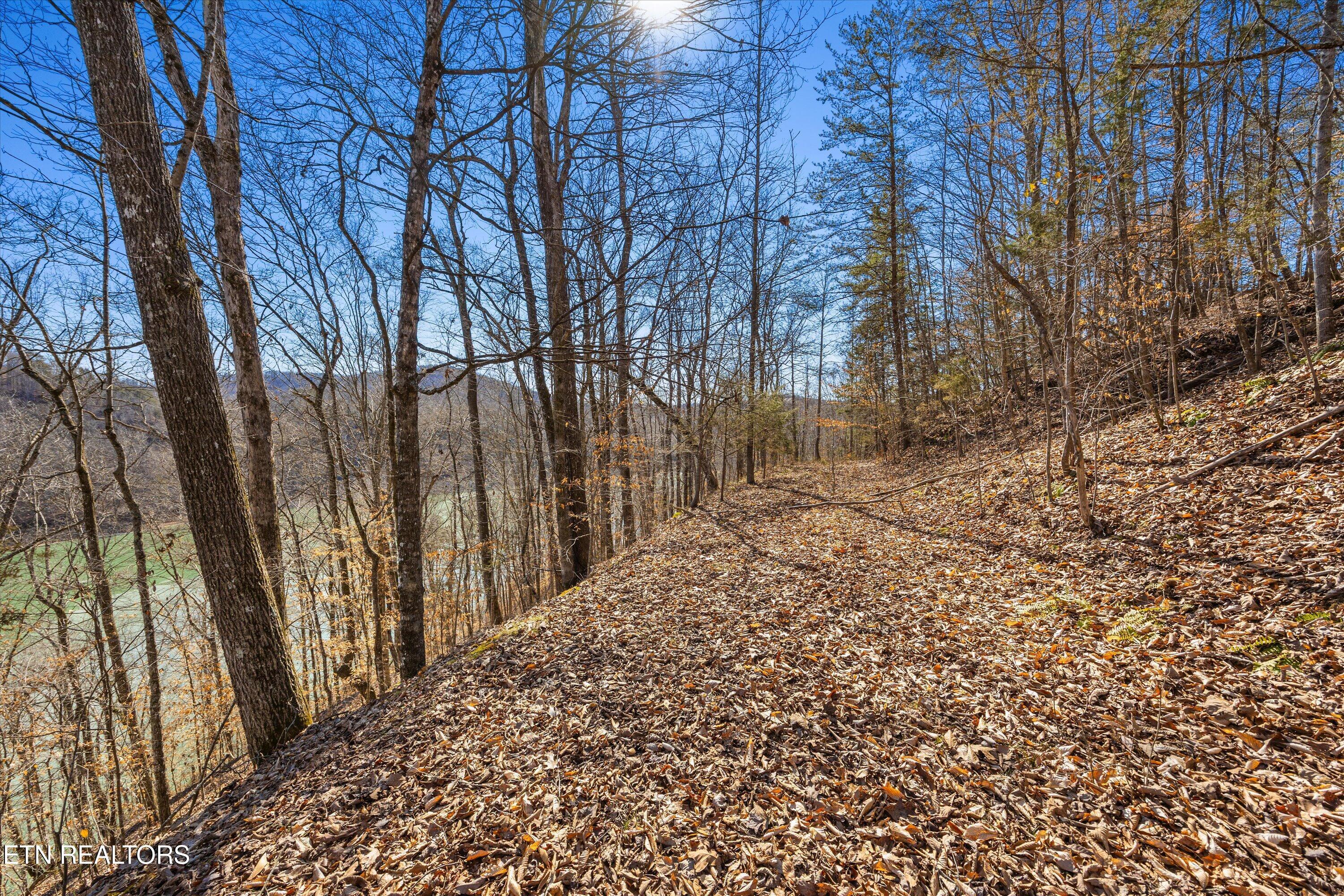 Lot 34 Mountain Shores Drive, New Tazewell, TN - Norris Lake Real Estate - Image# 24