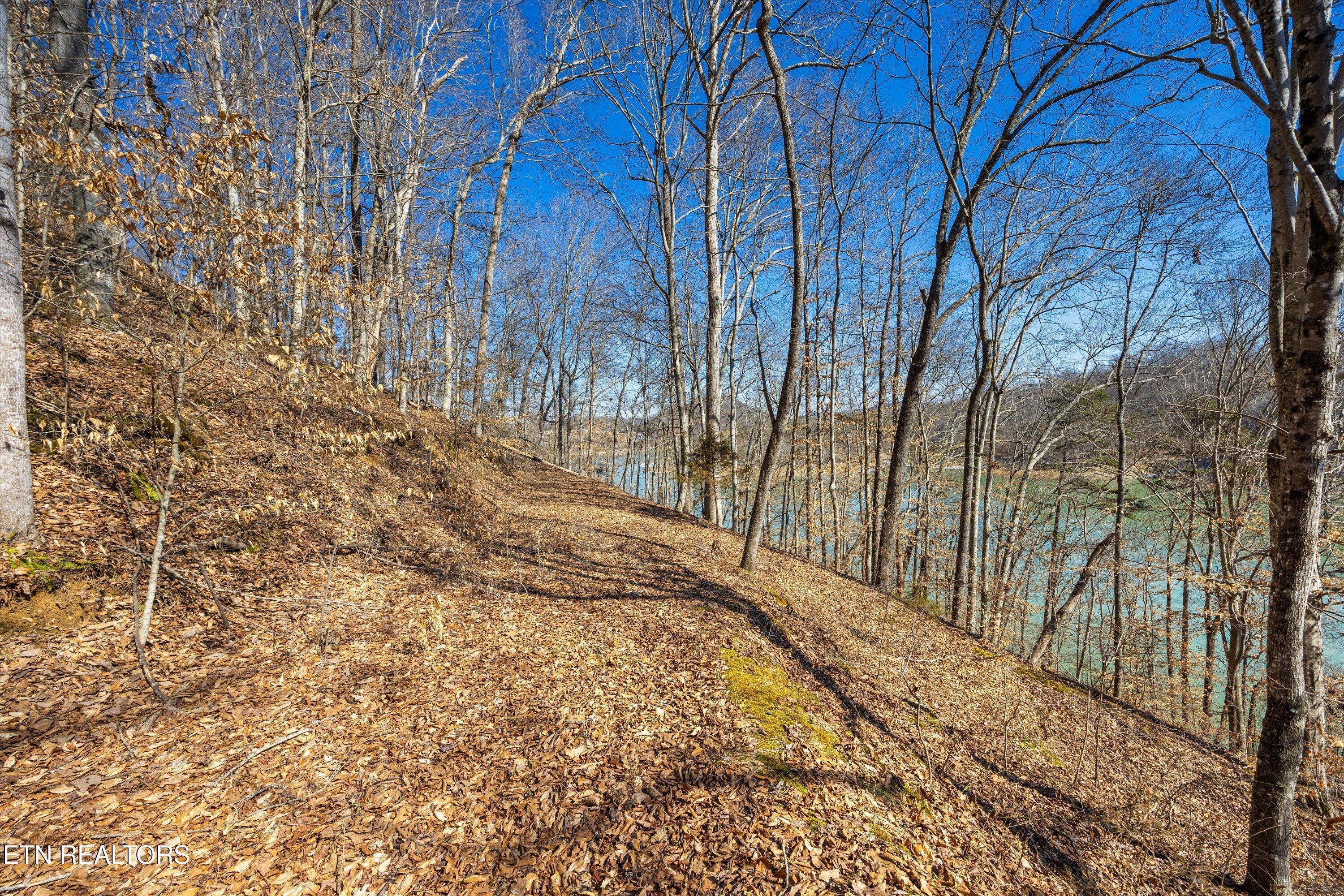 Lot 34 Mountain Shores Drive, New Tazewell, TN - Norris Lake Real Estate - Image# 26